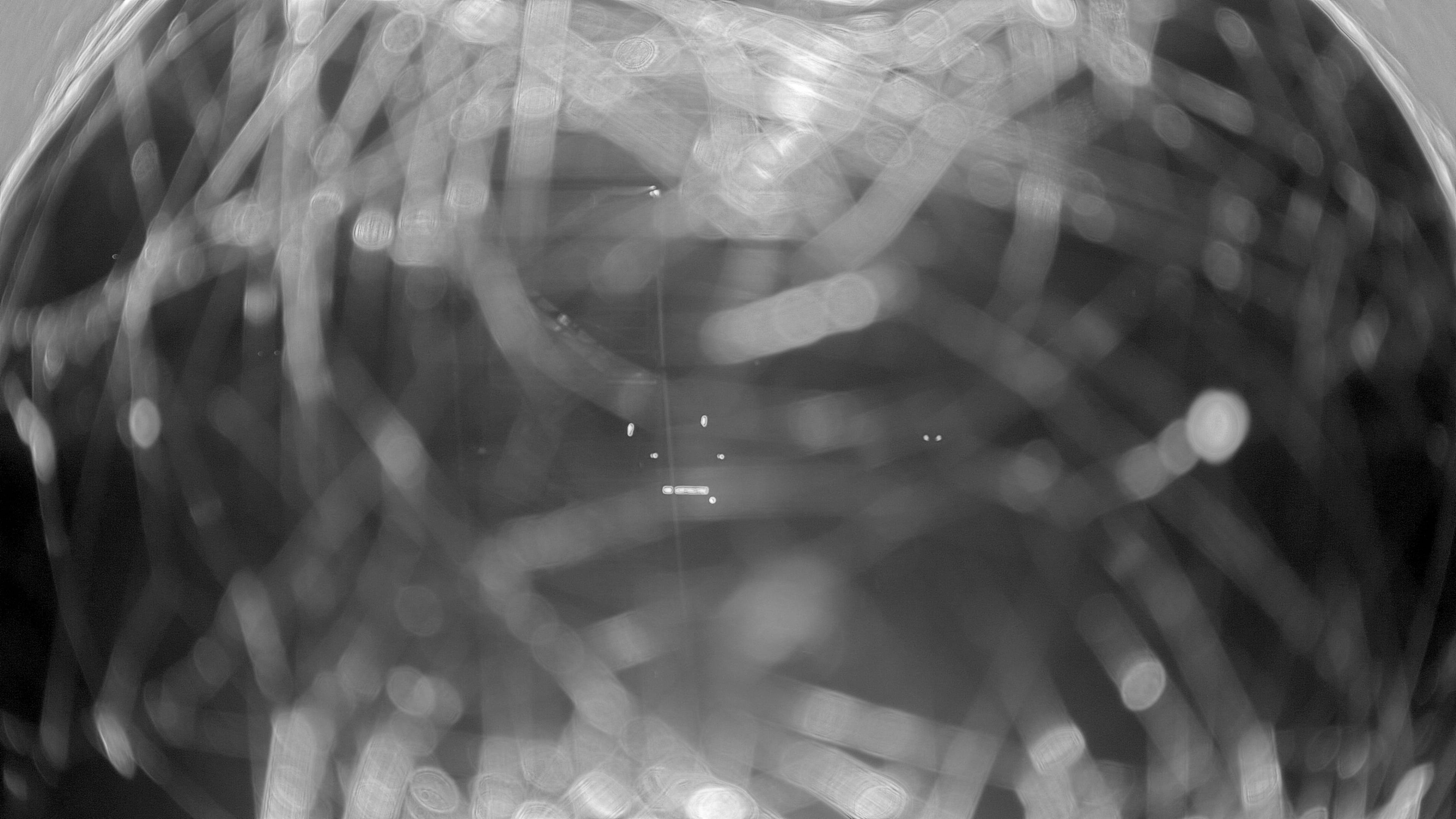 03.10.2025 19:45