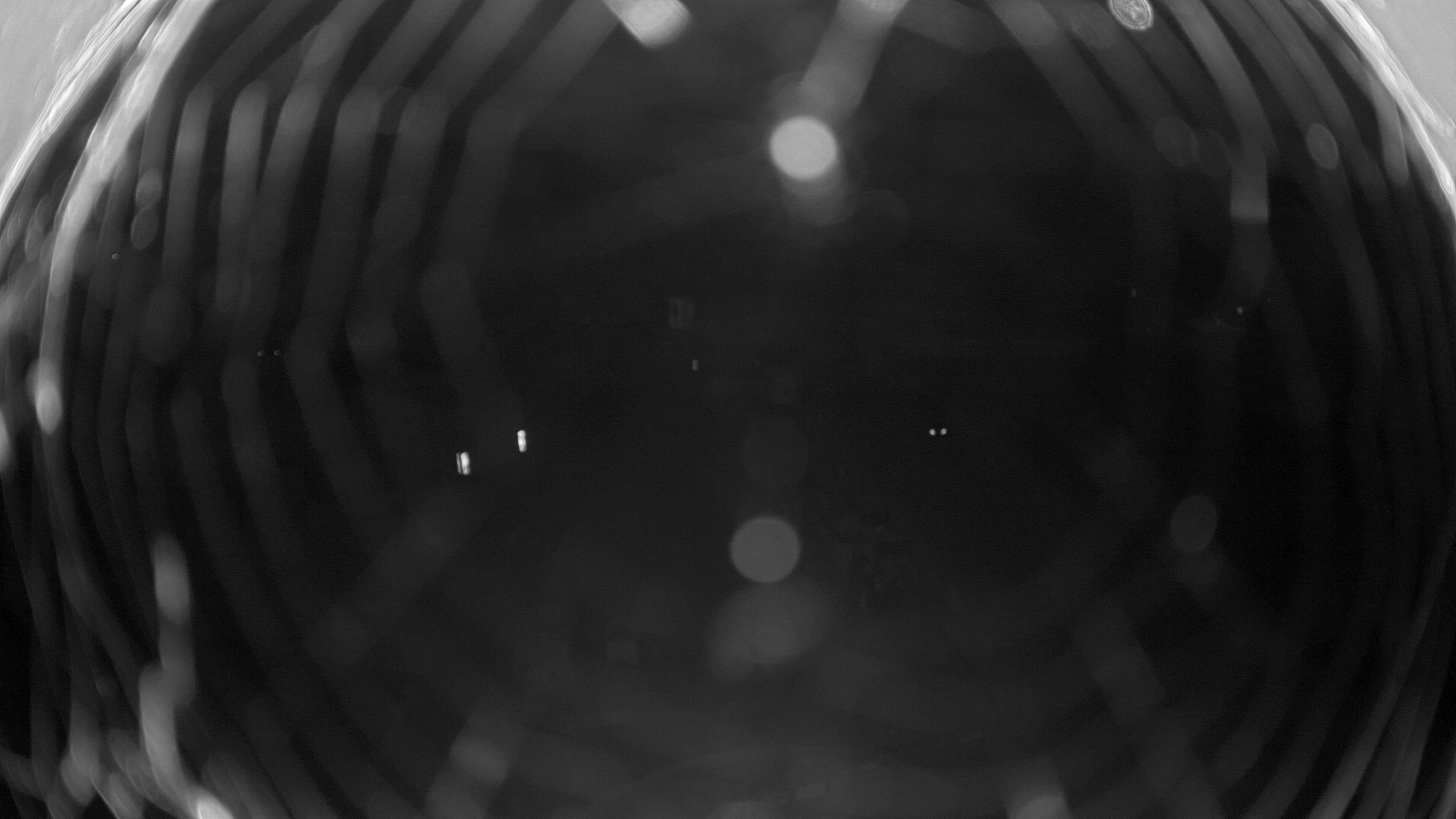 10.10.2025 19:25
