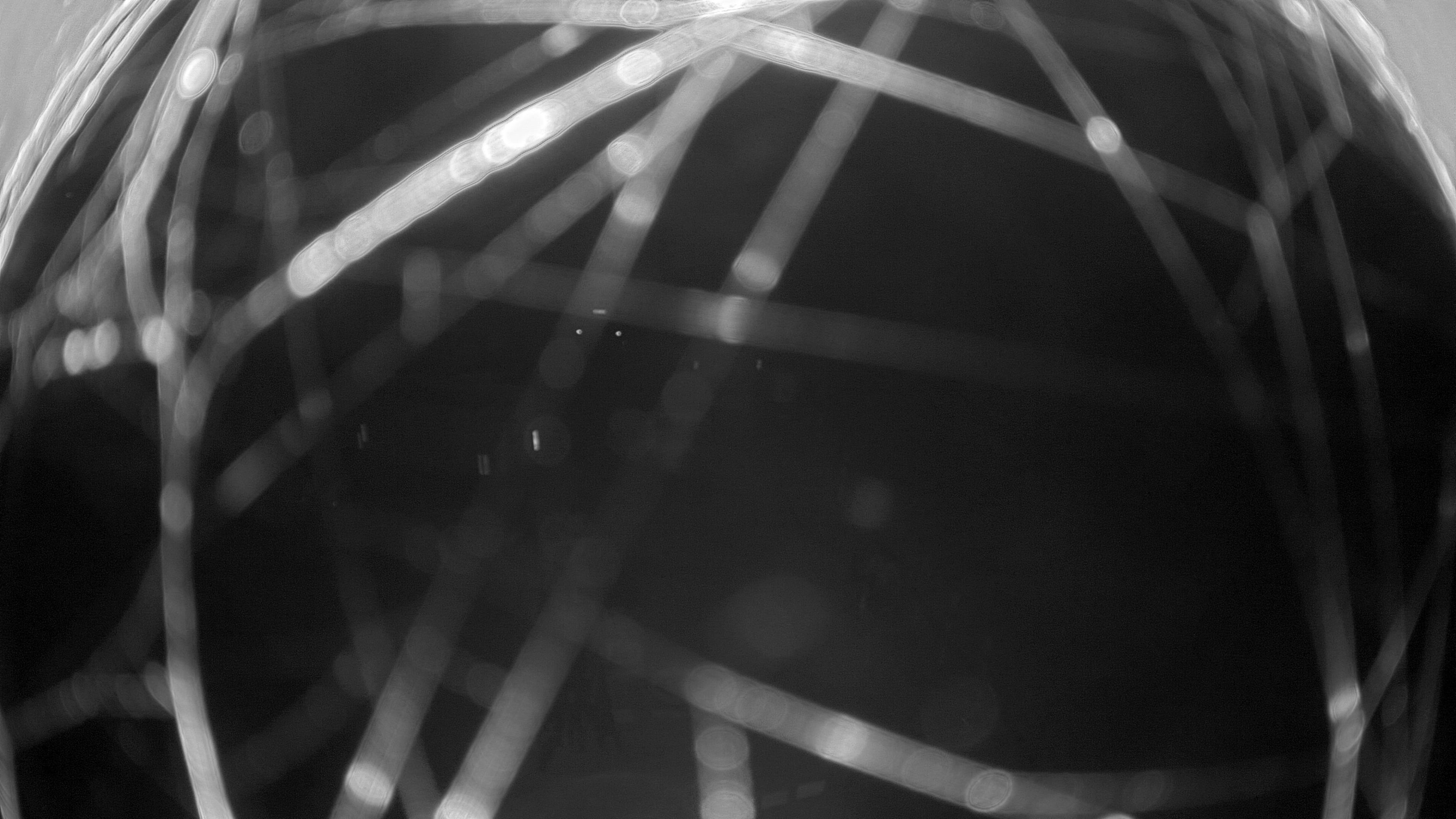 11.11.2025 18:50