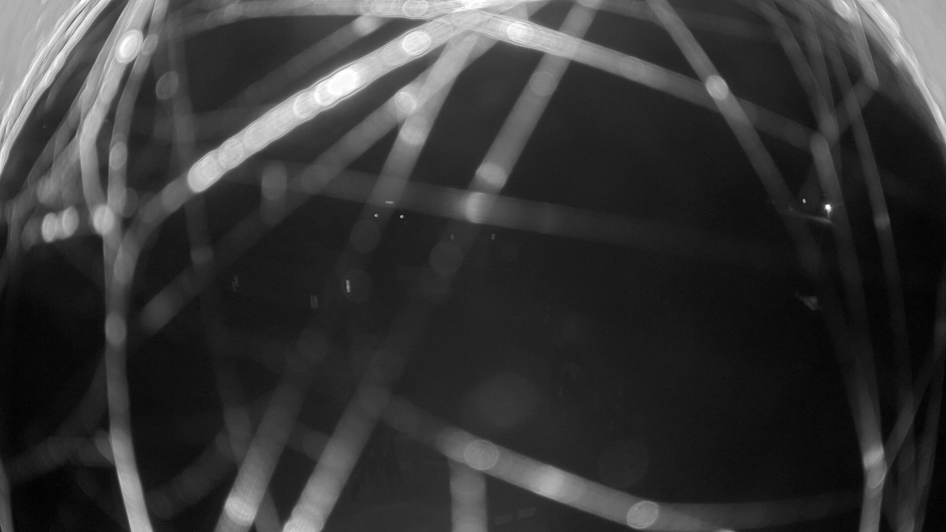 11.11.2025 19:35