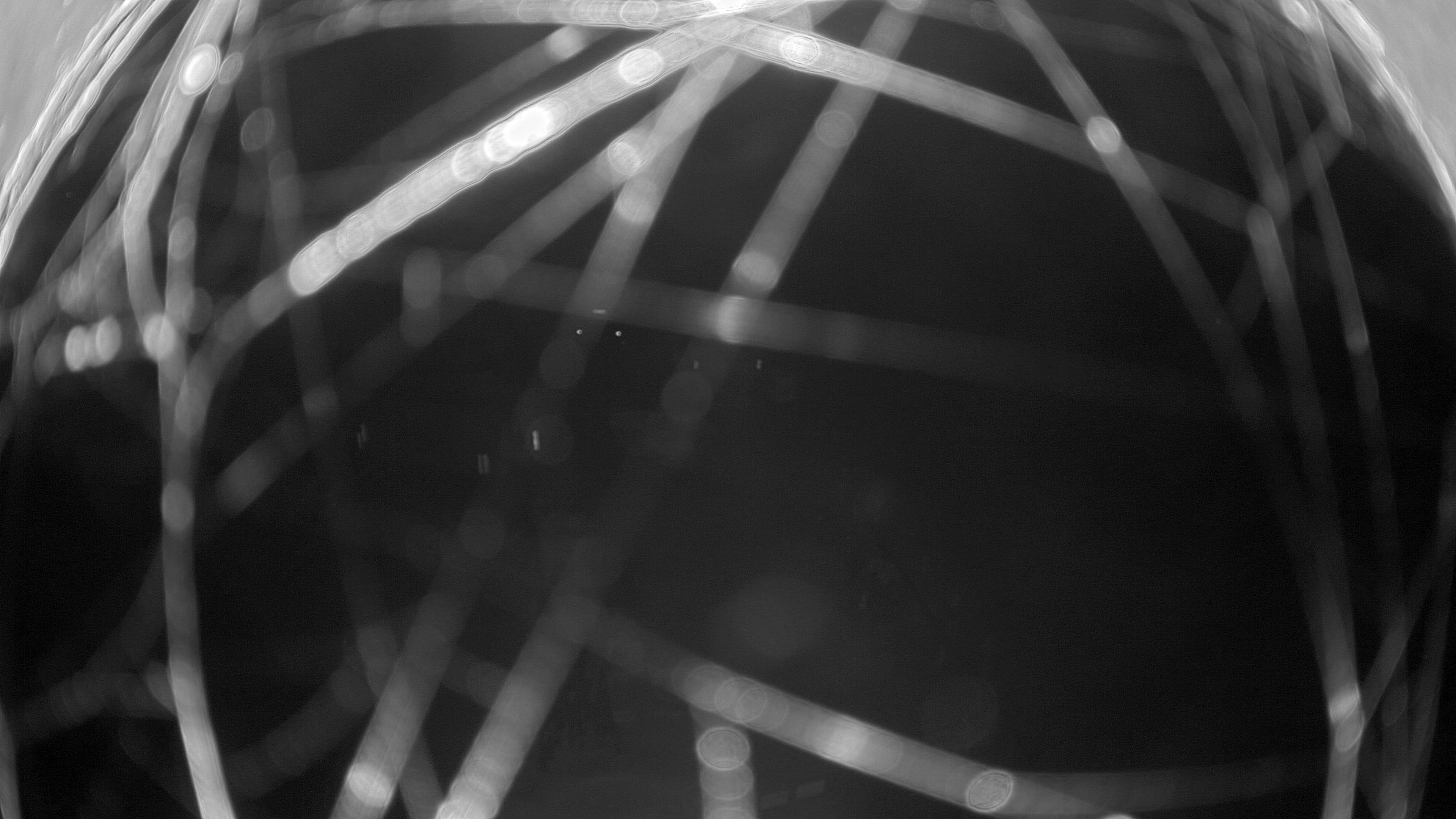 11.11.2025 19:50