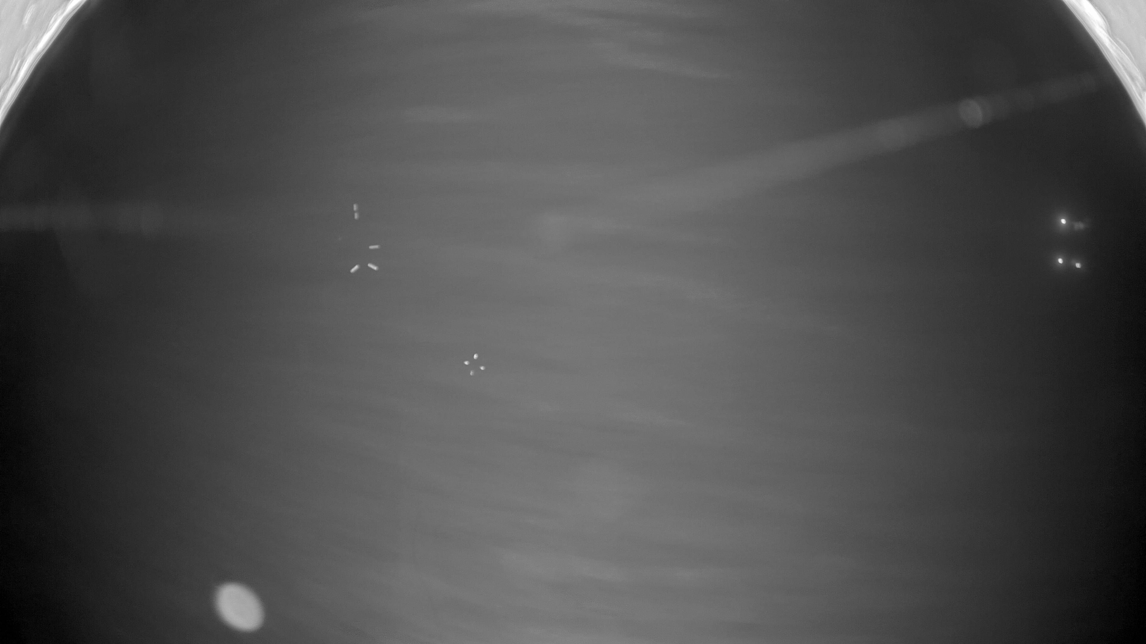 12.12.2025 19:15