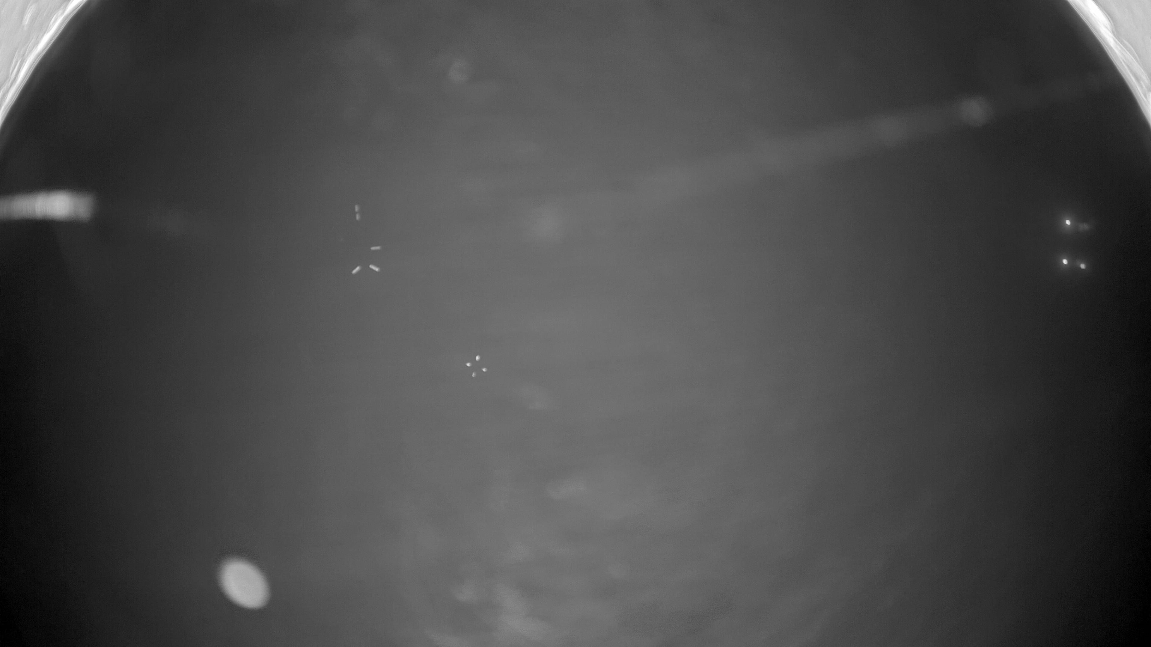 12.12.2025 19:30