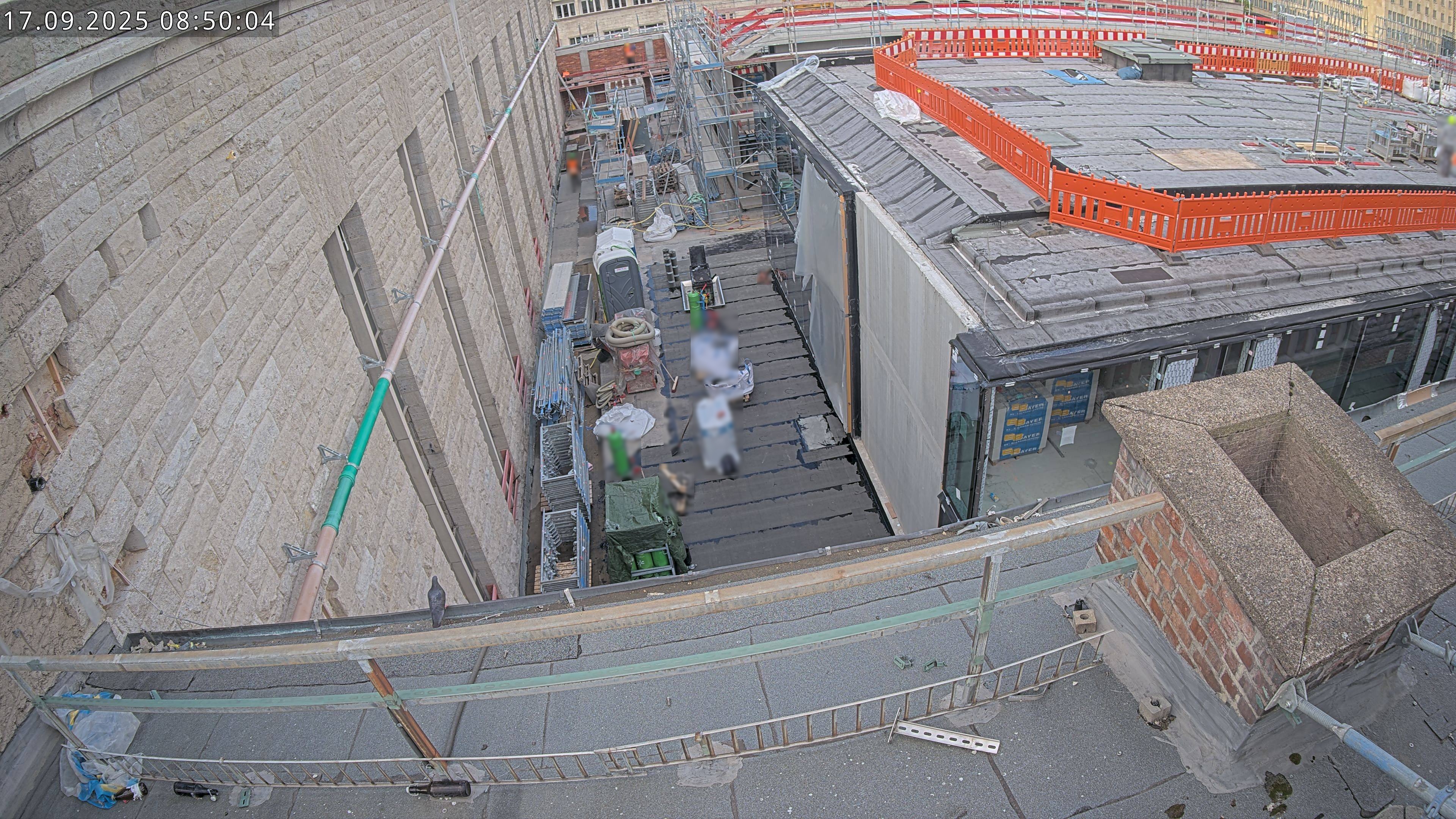 17.09.2025 08:50