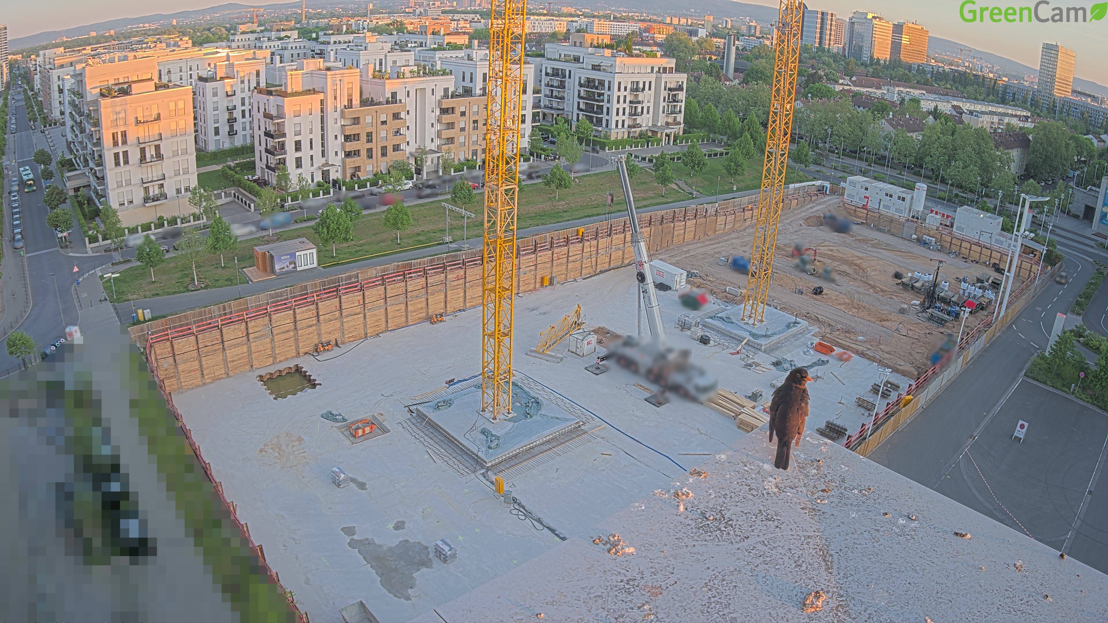 30.04.2025 06:25