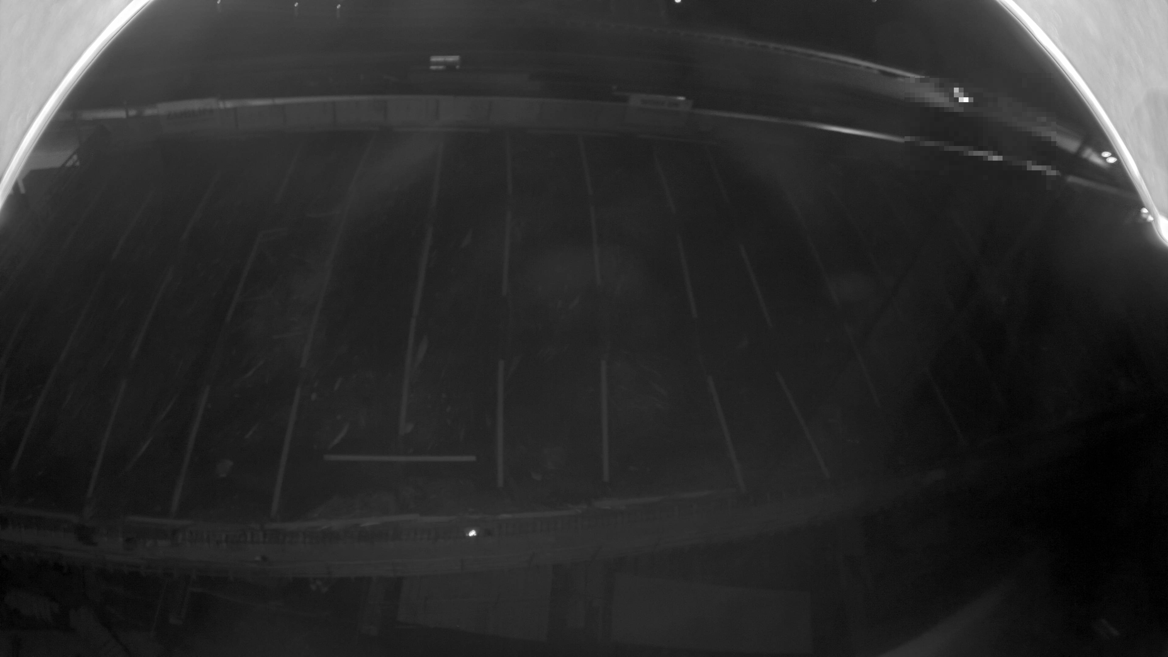 12.07.2025 23:50