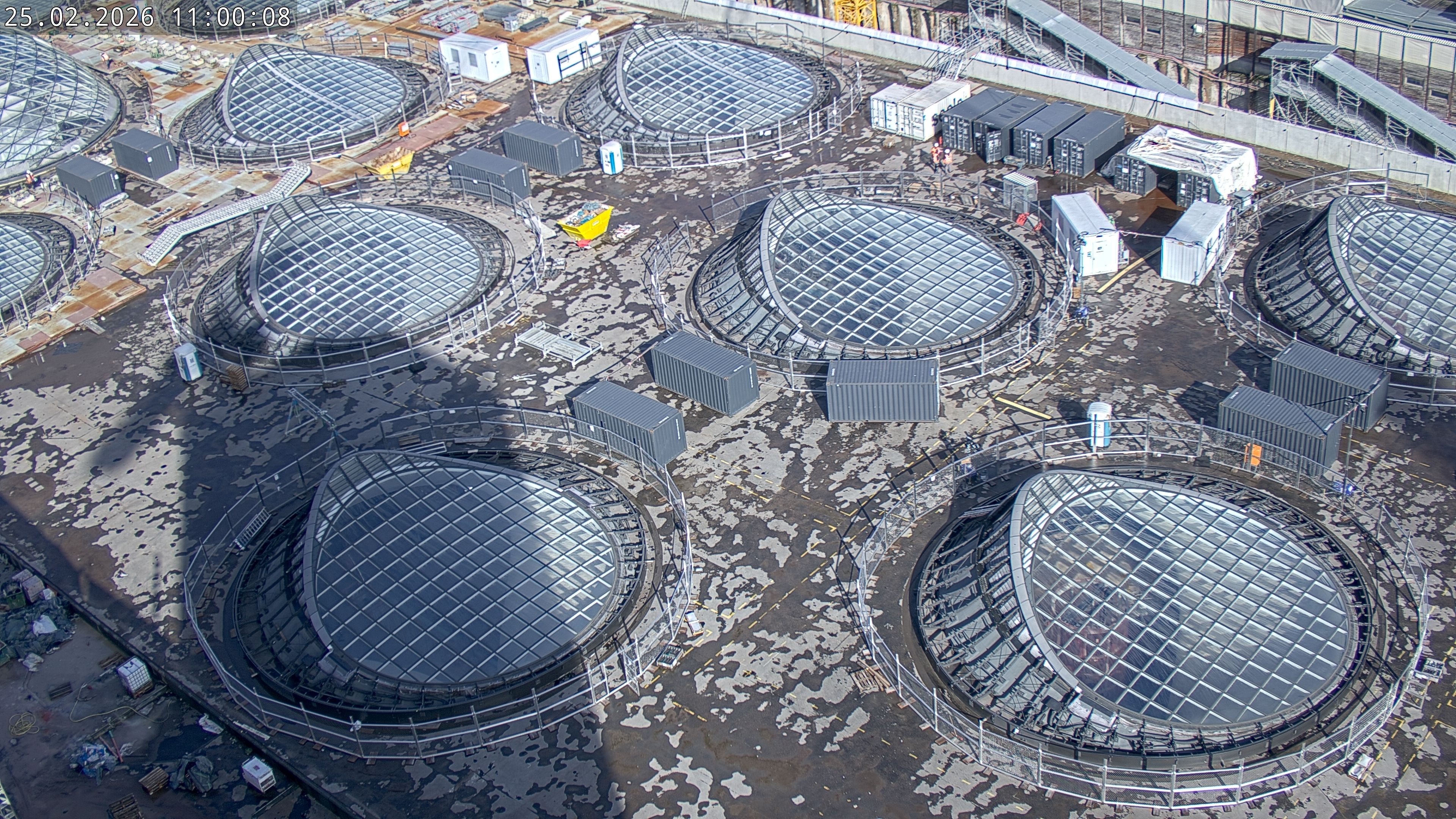 25.02.2026 11:00