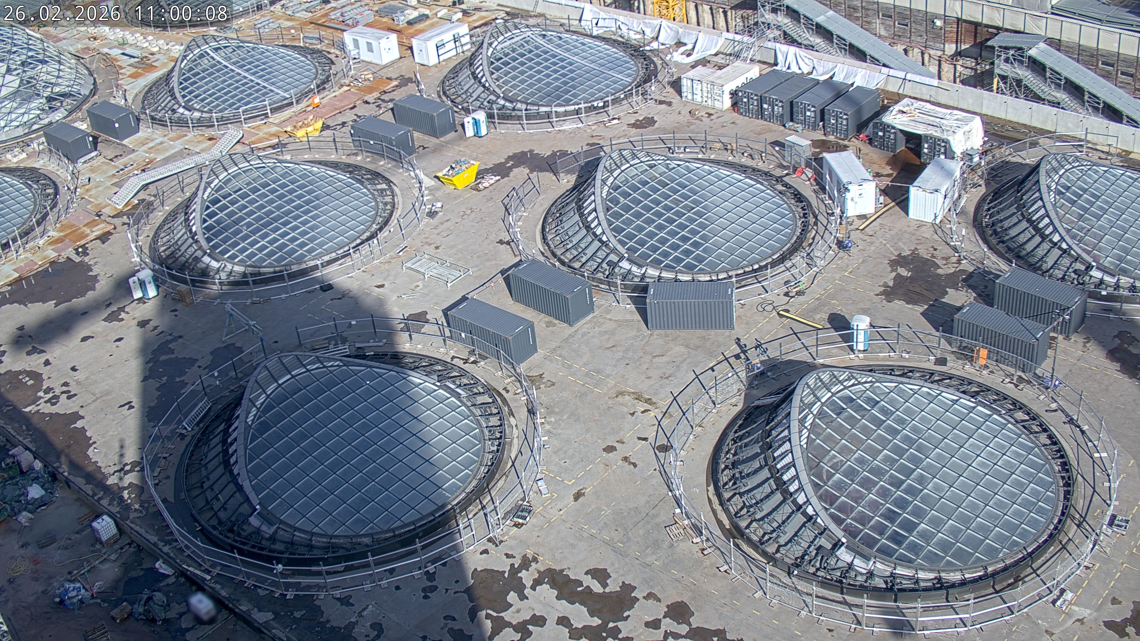 26.02.2026 11:00