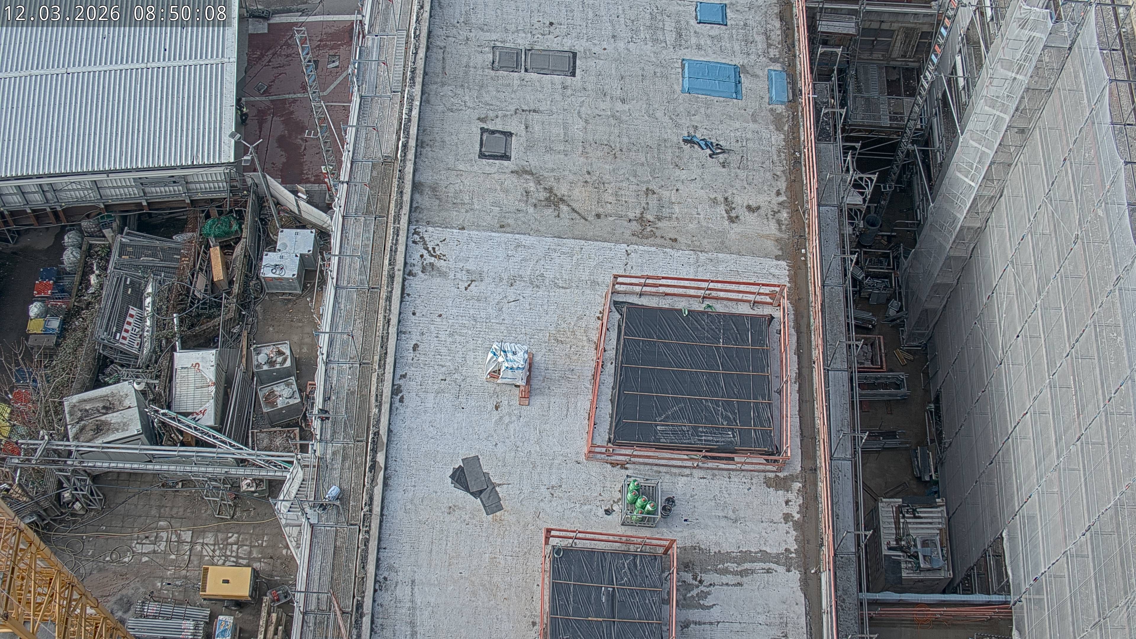 12.03.2026 08:50
