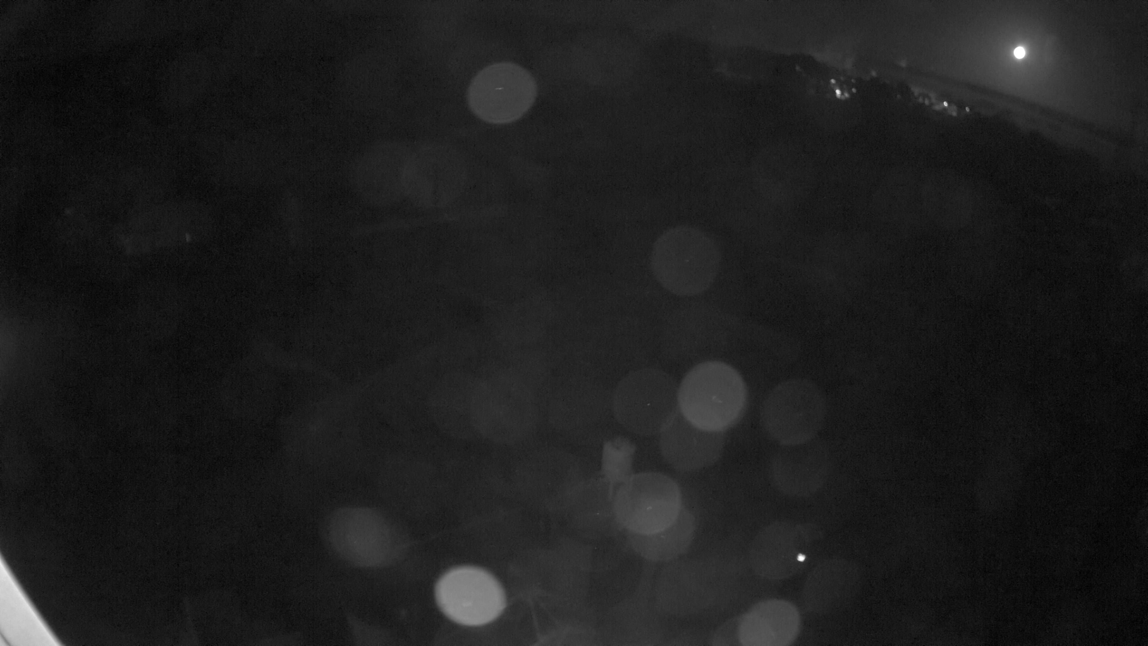 29.10.2026 19:05