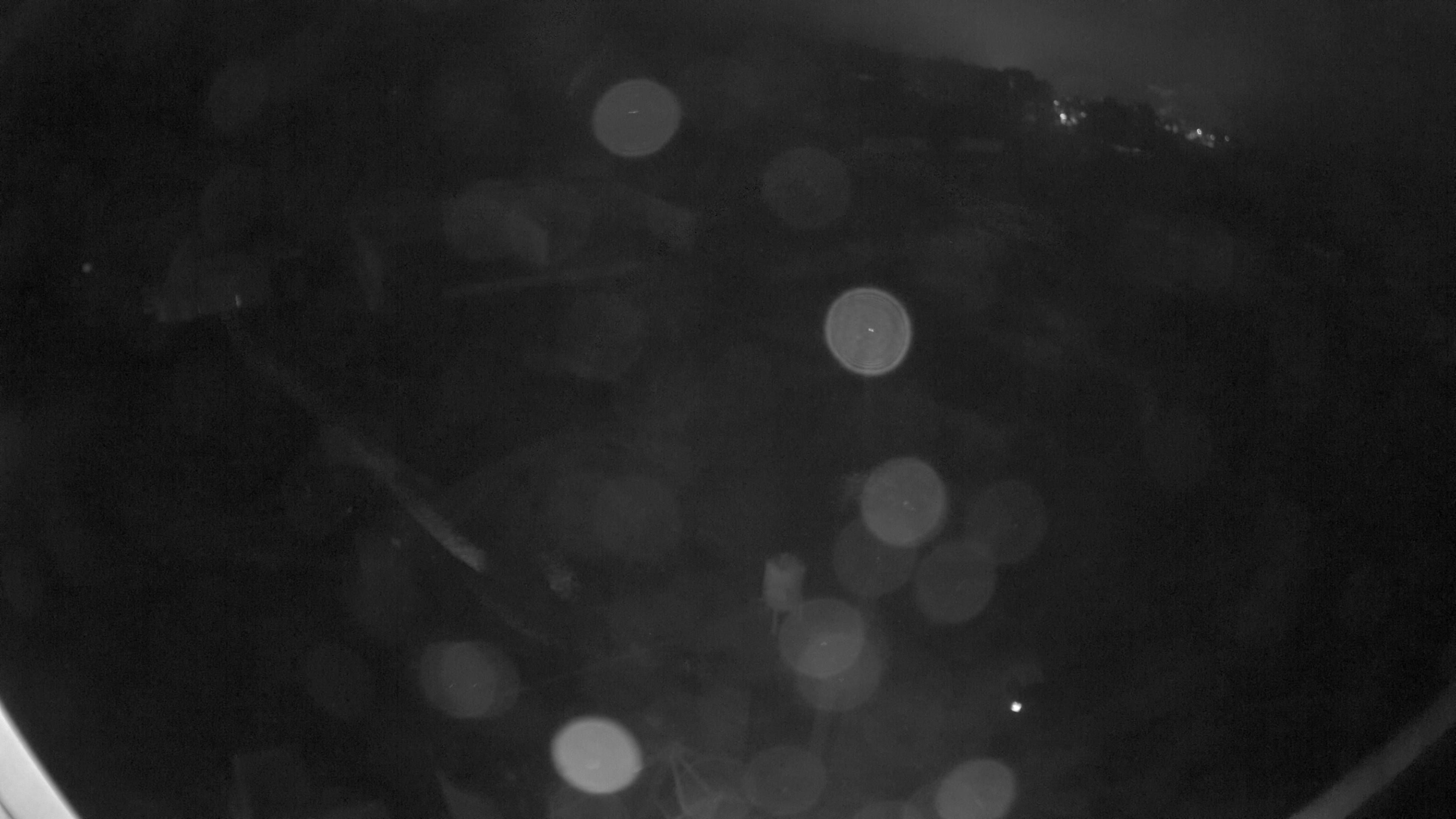 30.10.2026 19:35