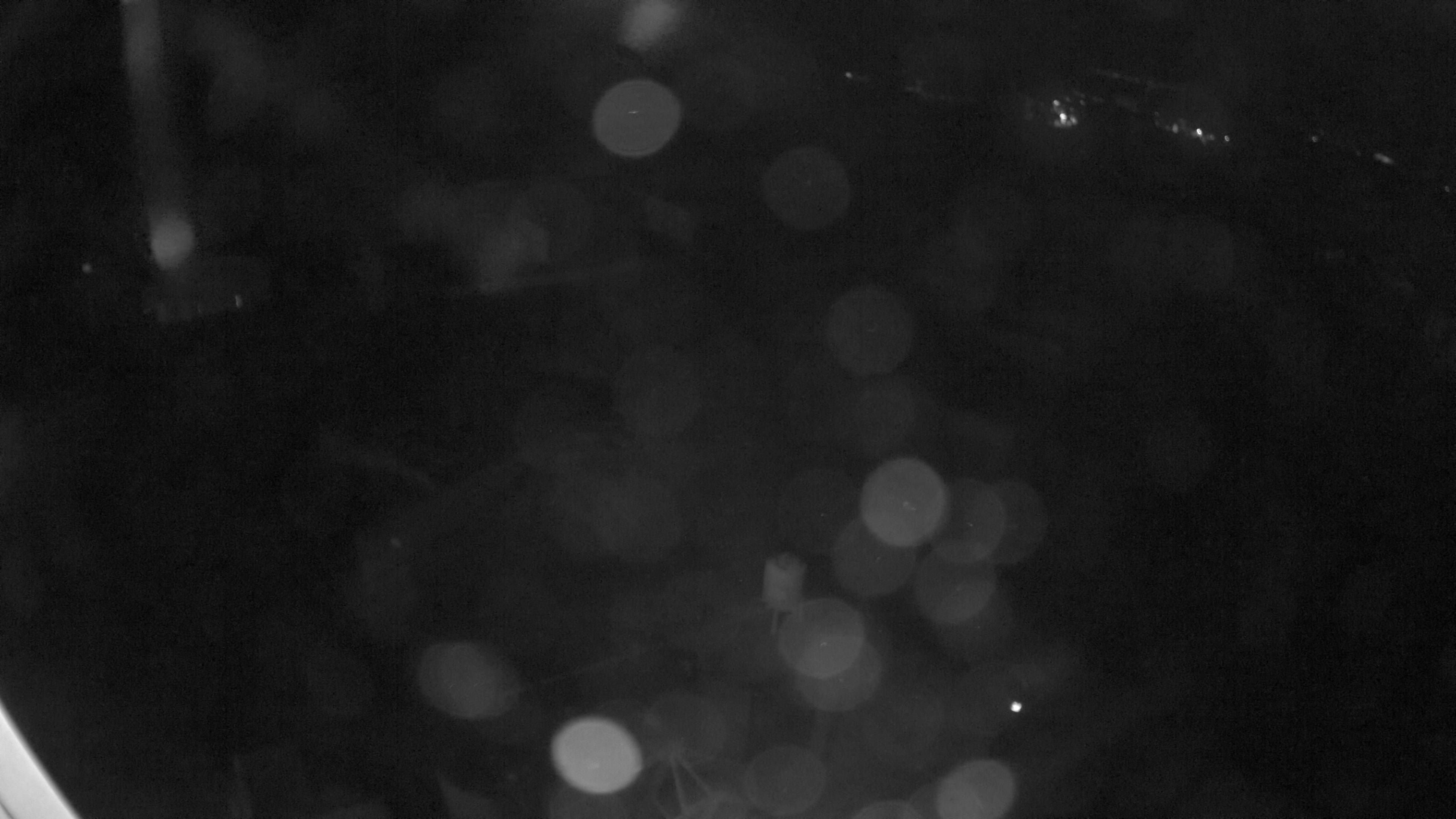31.10.2026 18:50