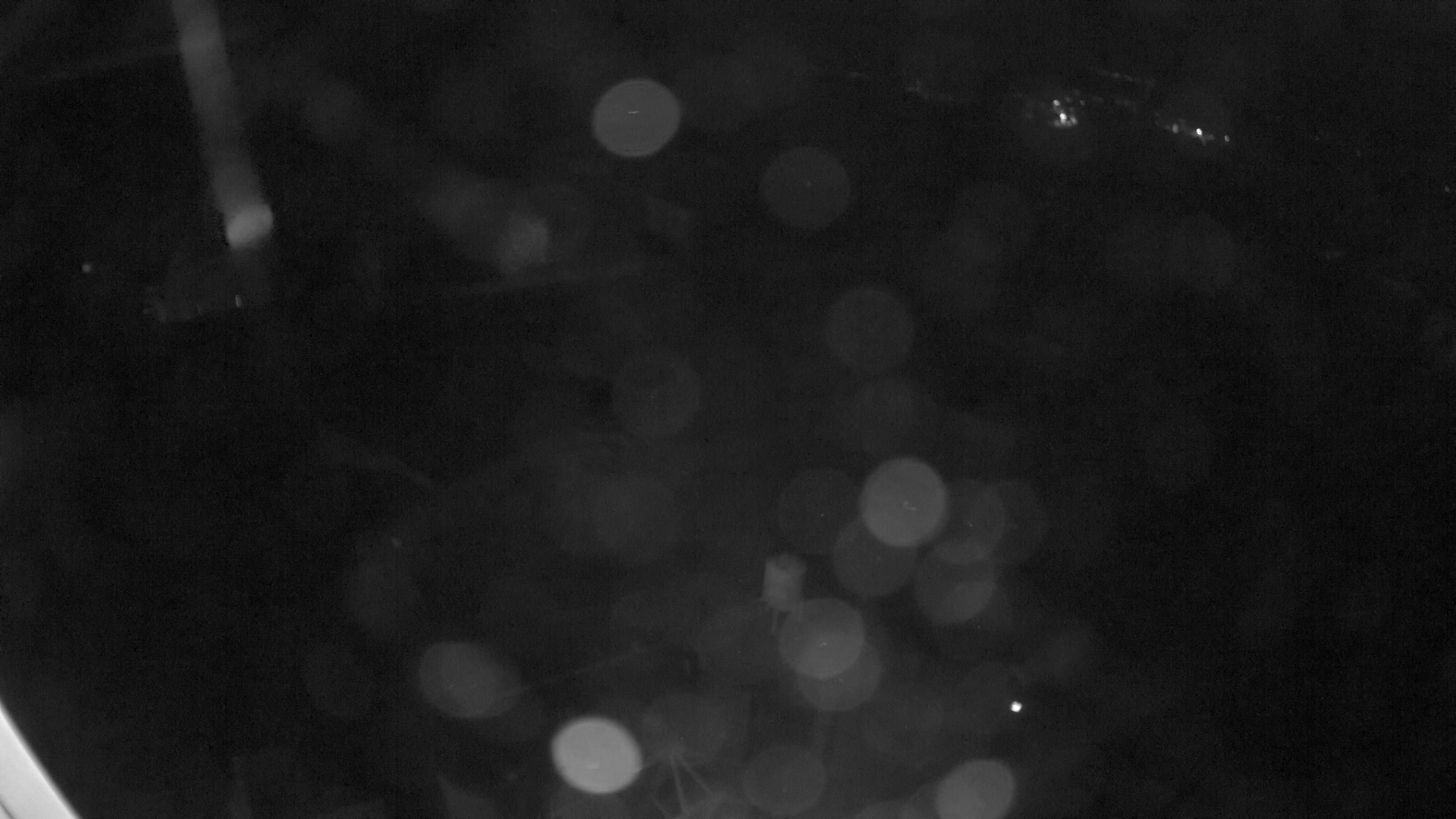 31.10.2026 20:50