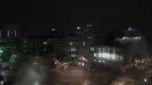 11.11.2024 19:20