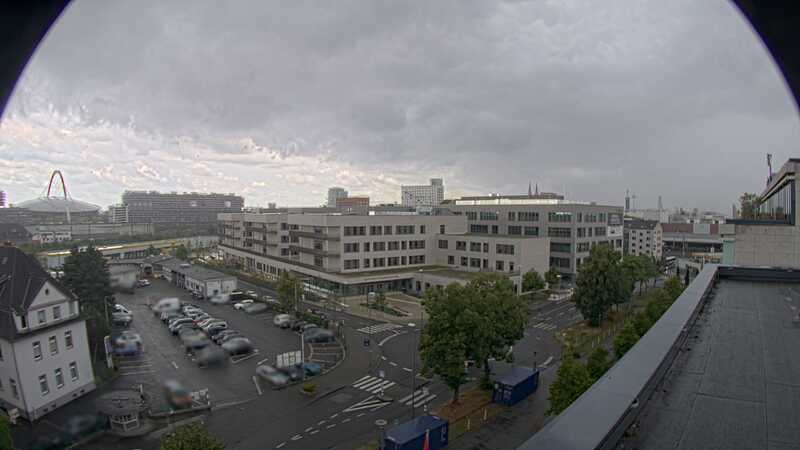 29.07.2025 11:30