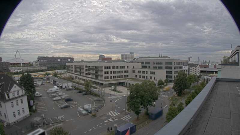 07.08.2025 18:35