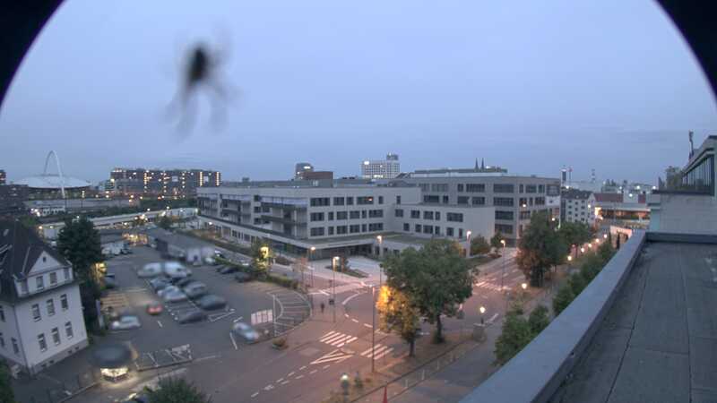 28.08.2025 06:30