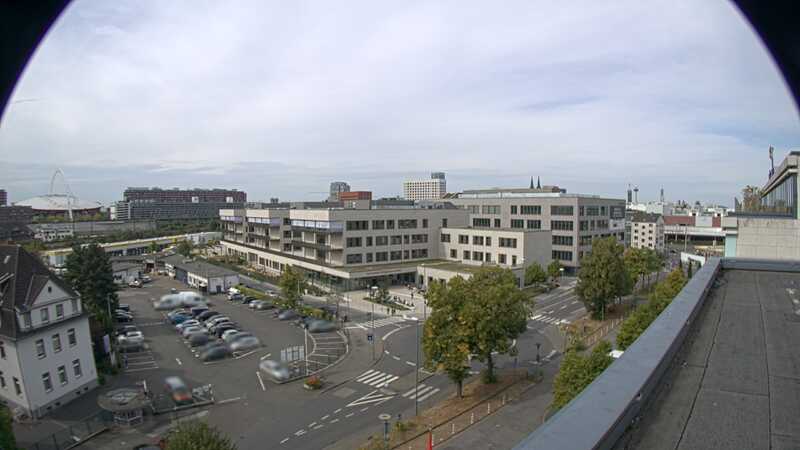 28.08.2025 11:00