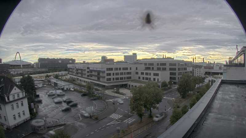 29.08.2025 18:50
