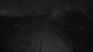 11.11.2024 18:35