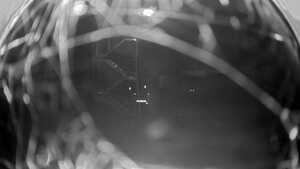 06.10.2025 19:15
