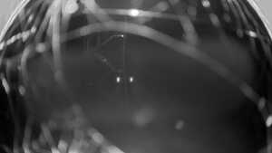 07.10.2025 19:50
