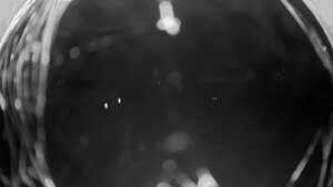 09.10.2025 19:20