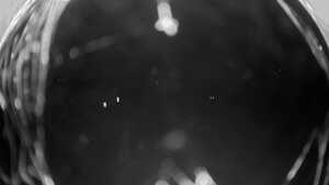 09.10.2025 19:50