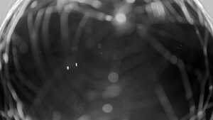 13.10.2025 19:55