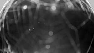 14.10.2025 19:15