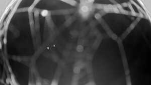 15.10.2025 19:50