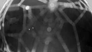 16.10.2025 19:10