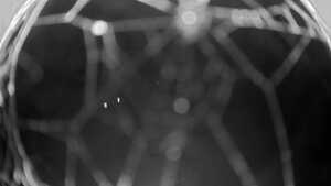 16.10.2025 19:40