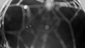 16.10.2025 19:55