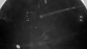 12.12.2025 18:00