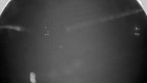 12.12.2025 18:30