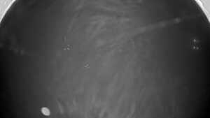 12.12.2025 19:45