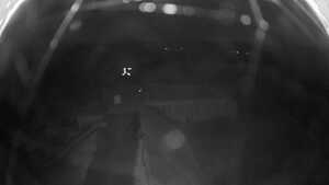 03.03.2026 19:00