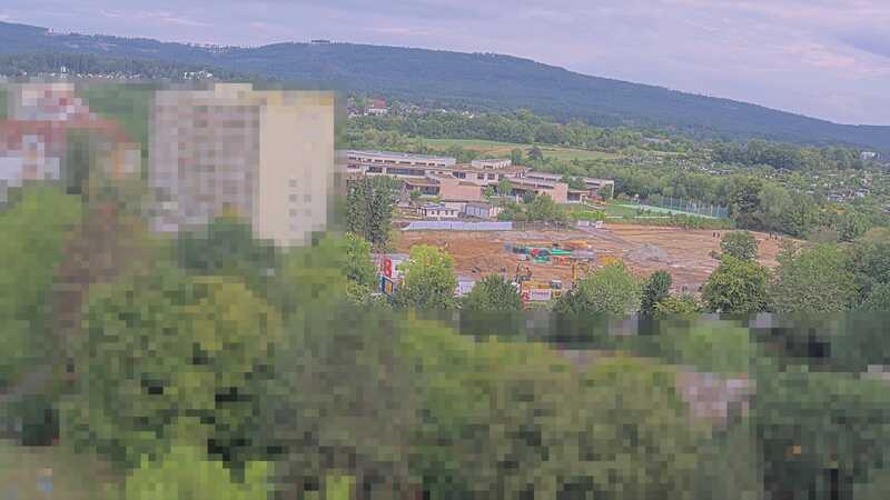 31.07.2025 07:35