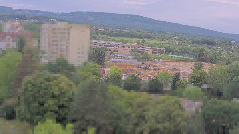 31.07.2025 07:55