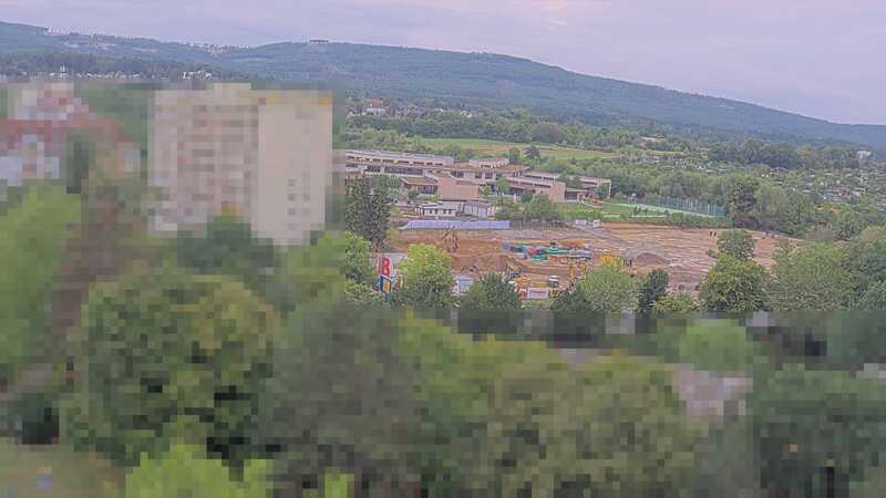 31.07.2025 08:30