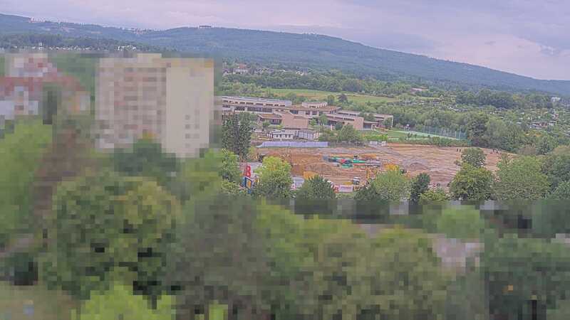 31.07.2025 09:50