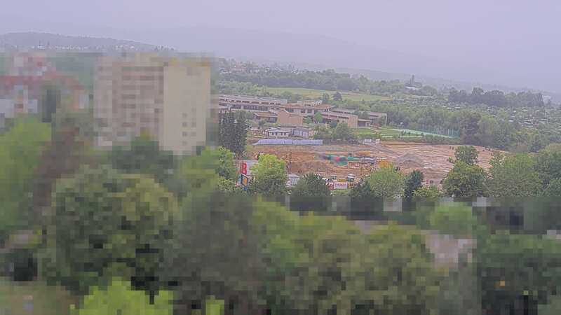 31.07.2025 11:00