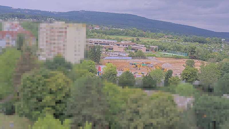 31.07.2025 13:25