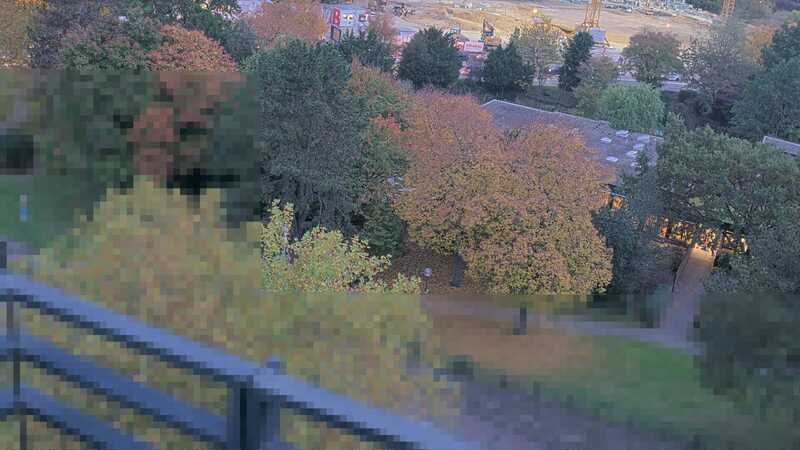 20.10.2025 07:50