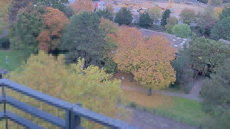 20.10.2025 08:25