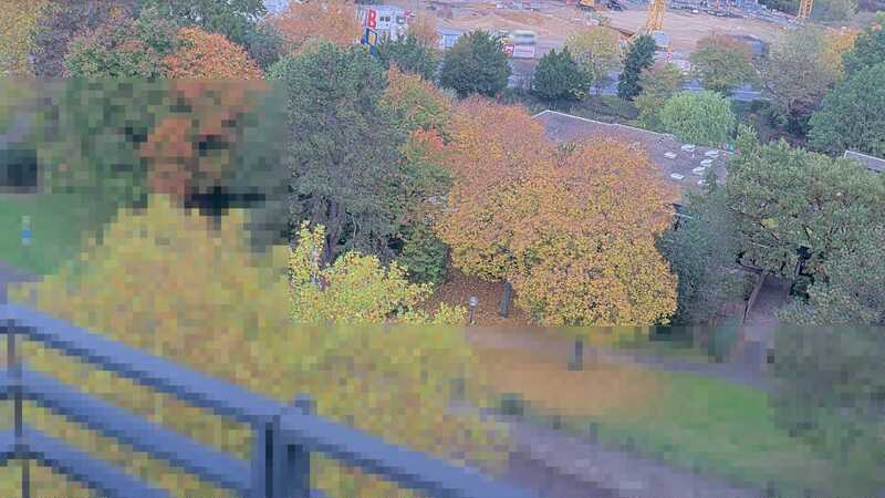 20.10.2025 09:55