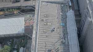 01.08.2026 17:30