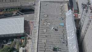 11.08.2026 11:15