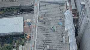 08.09.2026 14:45